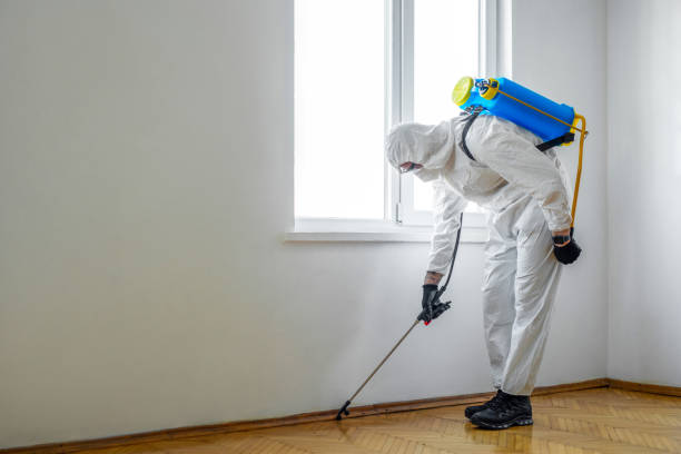 Best Pest Control Treatment  in San Rafael, NM