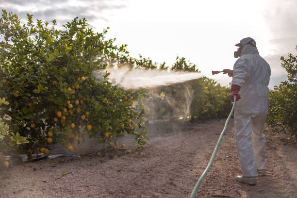 Best Commercial Pest Control Services  in San Rafael, NM