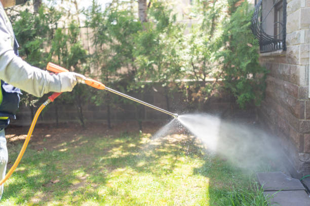 Best Insect Control  in San Rafael, NM
