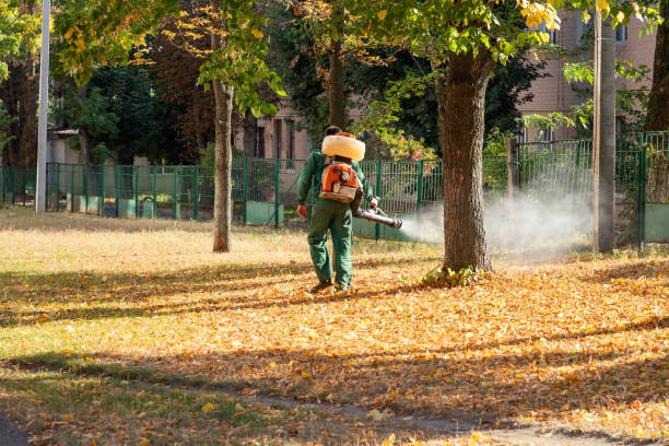 Pest Prevention Services in San Rafael, NM